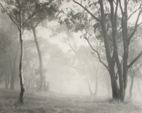 01 016 W Howieson - Morning mist .1949 ..jpg