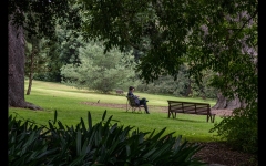 Melbourne Botanic Gardens Outing (Robert Fairweather ©)