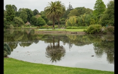 Melbourne Botanic Gardens Outing (David Dyett ©)