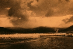03-066-Frank-Jarman-Tidal-River-1978