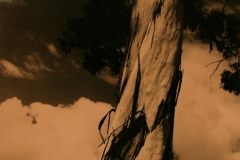 03-071-Leigh-Hawke-1965