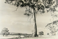 05-117-J-B-Eaton-1920
