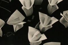 07-174-David-Moore-Sisters-of-Charity-1959