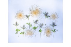 08 Apr 2021: Print Award Winners: Judge – Andrew Campbell; Set Subject - Door/s 