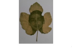 Chlorophyll Print - Mark Devaraj (Commended - Set Subj A Grade - 08 Jul 2021 PRNT)