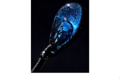 Burano - Andrew Greig (Commended - Set Subj B Grade - 08 Oct 2020 PDI)