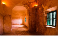 Green Windows - Robyn Faris (Commended - Open B Grade - 08 Oct 2020 PDI)