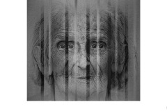 The Prisoner of Dementia - Ralph Domino (Highly Commended - Open B Grade - 08 Oct 2020 PDI)