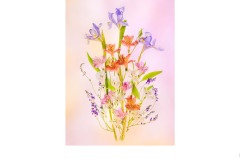 09 Sep 2021: Print via PDI Award Winners: Judge – Brett Ferguson; Set Subject - Stair/s