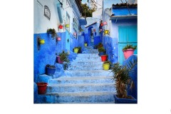 Blue Stairs and Plants - Robyn Faris (Commended - Set Subj B Grade - 09 Sep 2021 Print via PDI)