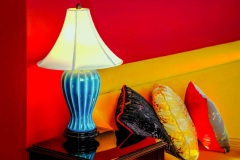 10 Feb 2022: Print Award winners: Judge - Steve Scalone; Set Subject - Colour Contrast