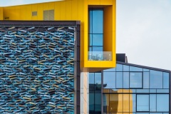Yellow-box-Nr-2-Sally-Paterson-Commended-Set-Subject-A-Grade-10-Feb-2022