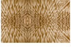 sand patterns - Paul Wright (Commended - Set Subj B Grade - 10 Sep 2020 PDI)