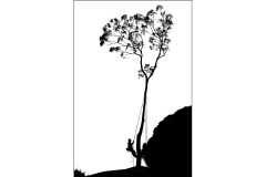 11 Aug 2022: Print Award Winners: Judge – Robyn Campbell; Set Subject - Place of Worship