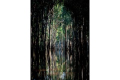 My-temple-Kaye-Linsdell-Commended-Set-Subject-B-Grade-Print-11-Aug-2022