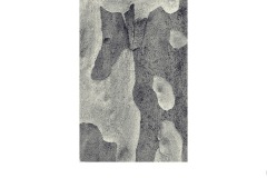 Camouflage. - James Mexias (Highly Commended - Set Subj A Grade - 11 Feb 2021 PRNT)