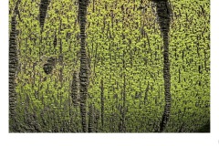Green tree - Jayden Hancock (Highly Commended - Set Subj B Grade - 11 Feb 2021 PRNT)