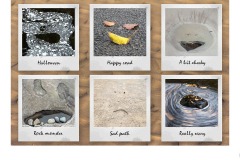 Patterns in Nature - Lynette McKelvie (Commended - Set Subj B Grade - 11 Feb 2021 PRNT)
