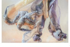 A delicate journey - Melissa Jane Cachia (Commended - Open A Grade - 11 Jun 2020 PDI)