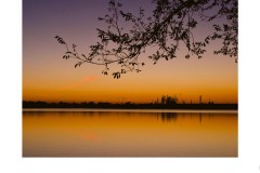 Cherry lake - Gihan Isac (Commended - Open B Grade - 11 Jun 2020 PDI)