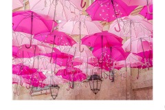 In the pink - Richard Faris (Commended - Open A Grade - 11 Jun 2020 PDI)