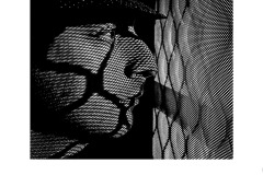 Looking Out - James Mexias (Commended - Set Subj B Grade - 11 Jun 2020 PDI)