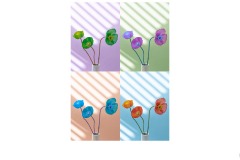 Poppy Patterns - Lesley Bretherton (Commended - Set Subj A Grade - 11 Jun 2020 PDI)