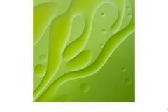 Kermit - Sally Paterson (Highly Commended - Open A Grade - 11 Mar 2021 PRNT)
