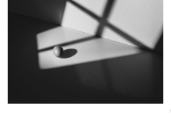 Egg - after Sudek - Paul Dodd (Best - Set Subj A Grade - 13 Aug 2020 PDI)