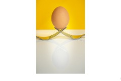 Eggstrordinary - Doug Jackson (Commended - Set Subj B Grade - 13 Aug 2020 PDI)