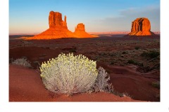 Monument Valley - Nicole Andrews (Commended - Open A Grade - 13 Aug 2020 PDI)