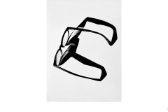 What A Spectacle! - Ralph Domino (Best - Open B Grade - 13 Aug 2020 PDI)