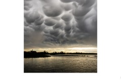 Lake Wendouree - Lynette McKelvie (Highly Commended - Set Subj B Grade - 13 May 2021 PRNT)