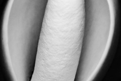 Monstera-Flower-Adrian-Fisher-Commended-Set-Subject-B-Grade-Print-14-Apr-2022