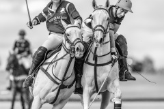 The-Horses-Ruth-Woodrow-Best-Set-Subject-A-Grade-Print-14-Apr-2022