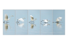 Great-Egret-Russell-Spence-Best-Open-B-Grade-Print-14-Jul-2022