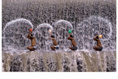 water boys - Lee-Anne Thomson (Commended - Open B Grade - 14 May 2020 PDI)
