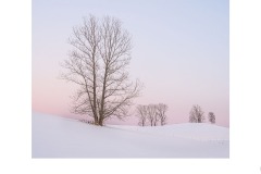 Sunset Biei - Lesley Bretherton (Highly Commended - Open A Grade - 14 May 2020 PDI)