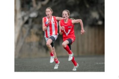 In step - Graeme Diggle (Commended - Set Subj A Grade - 14 May 2020 PDI)