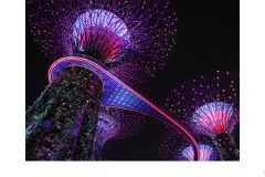 Colour My World - Marg Huxtable (Commended - Set Subj A Grade - 14 May 2020 PDI)