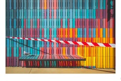 Silver Gull in Isolation - Ruth Woodrow (Best - Set Subj A Grade - 14 May 2020 PDI)