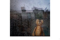 Teddy Watching the Rain - Ruth Woodrow (Commended - Set Subj A Grade - 14 Oct 2021 Print via PDI)