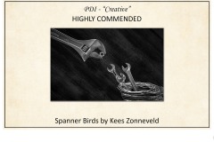 2019 Awards Presentations