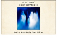 2019 Awards Presentations