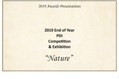 2019 Awards Presentations