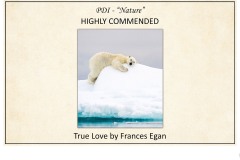 2019 Awards Presentations