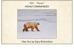 2019 Awards Presentations