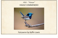 2019 Awards Presentations