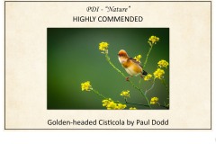 2019 Awards Presentations