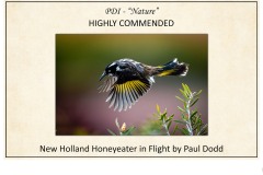 2019 Awards Presentations